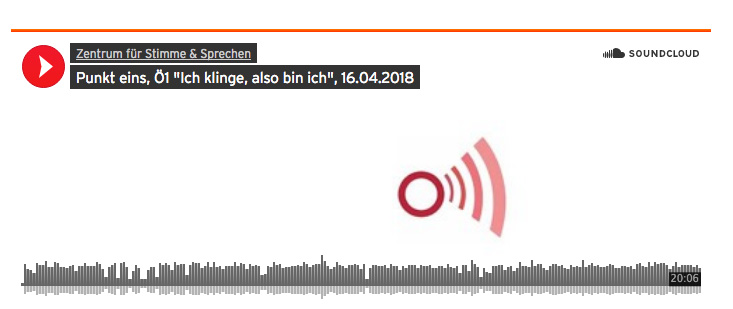 ich-klinge-also-bin-ich